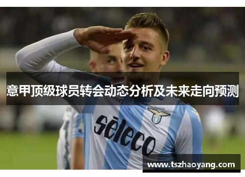 意甲顶级球员转会动态分析及未来走向预测